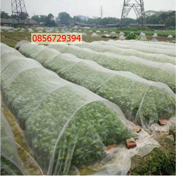 Lưới chắn côn trùng/phơi nông sản/lưới phơi thóc,