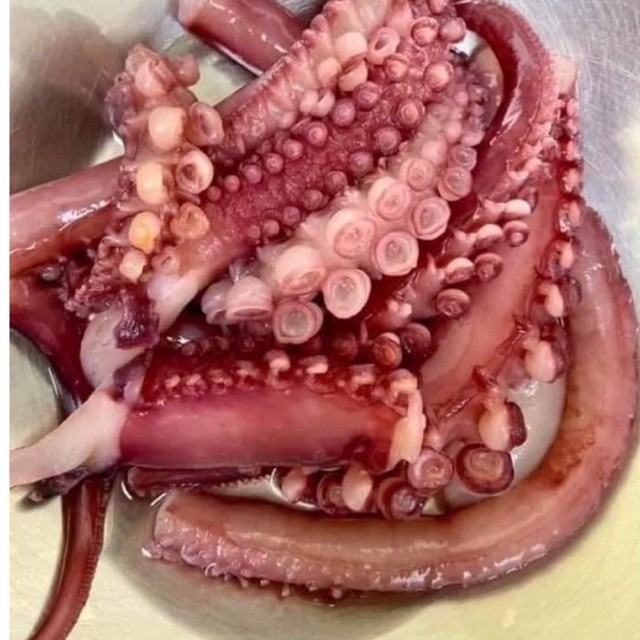 1kg râu bạch tuộc khổng lồ