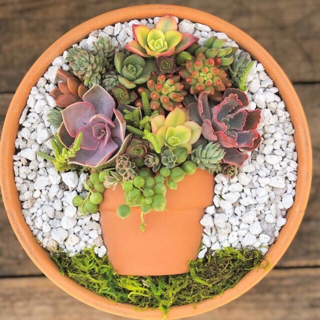 1Kg Sỏi trắng nhỏ size 5-8 mm trang trí bể cá, chậu cây cảnh, terrarium, sen đá, xương rồng