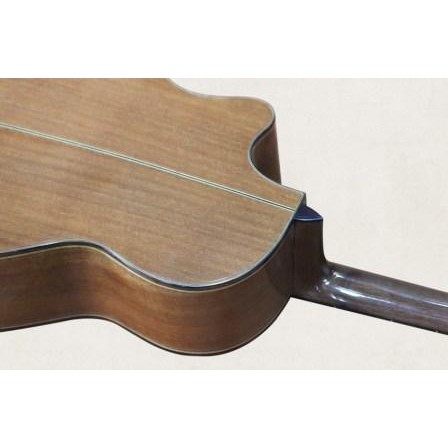 Acoustic Guitar Việt Nam Taylor D400 sơn PU bóng
