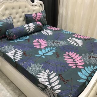 Drap nệm cao cấp
