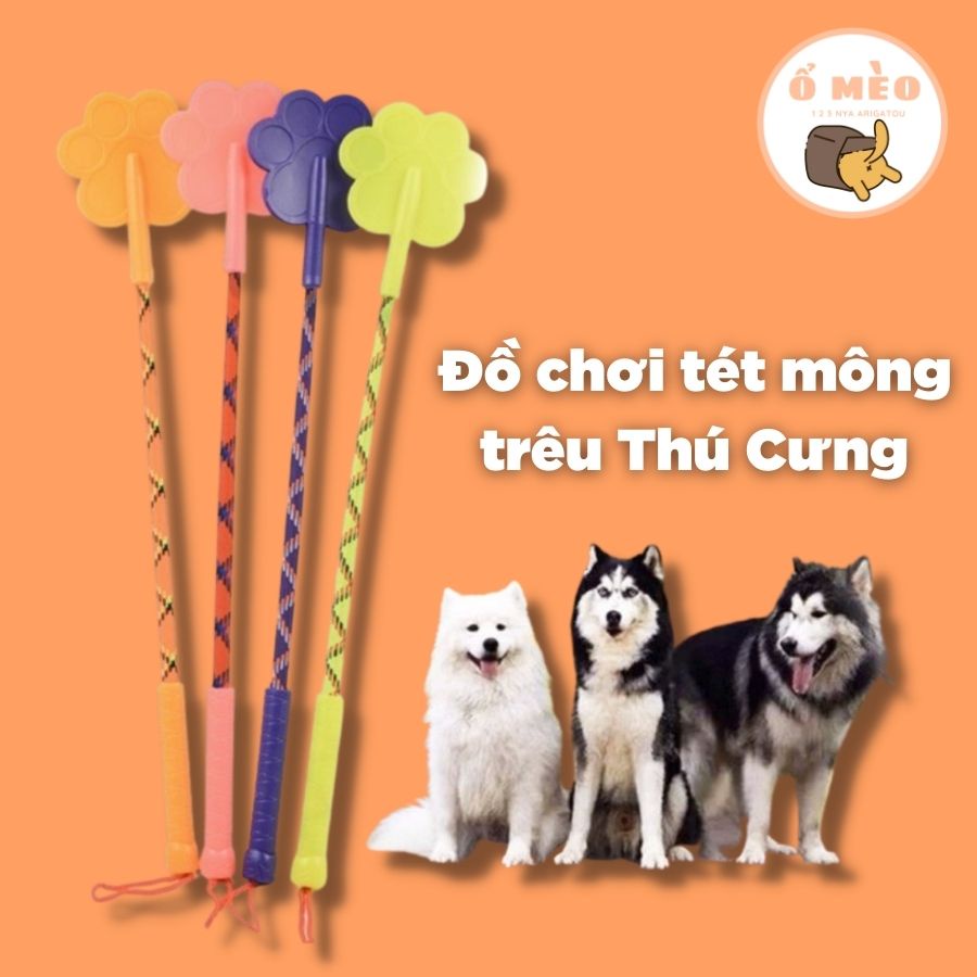 Roi tét mông chó mèo Đồ chơi trêu chó mèo Roi huấn luyện chó mèo