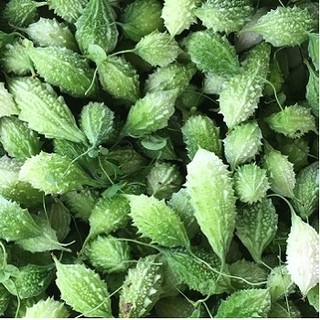 trái khổ qua rừng phơi khô