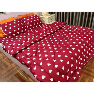 Chăn phao siêu nhẹ cao cấp 32