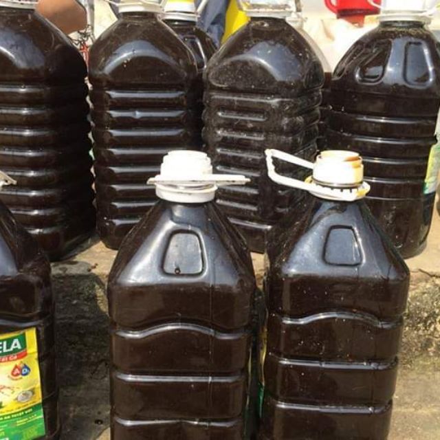 Combo can 2l mật mía