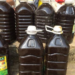 Combo can 2l mật mía
