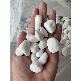 Sỏi trắng viên 2-3cm dùng trang trí chậu cây, bể cá túi 1kg