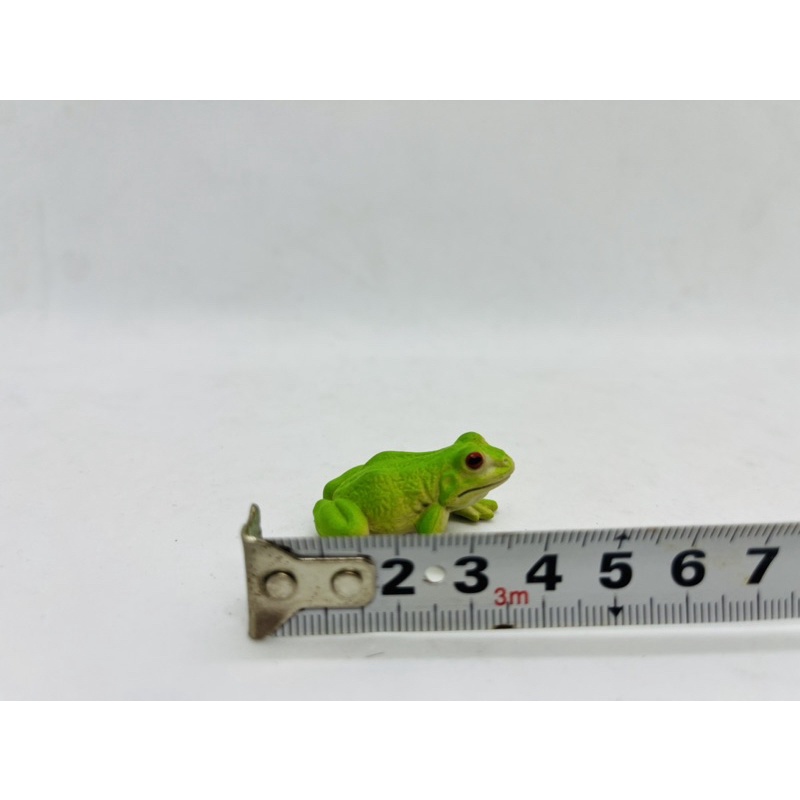 Mô hình động vật Safari Ltd chính hãng Ếch , rùa baba , cá mặt quỷ , cá sấu con , kì đà , châu chấu - Schleich House