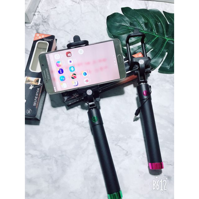 Gậy tự sướng