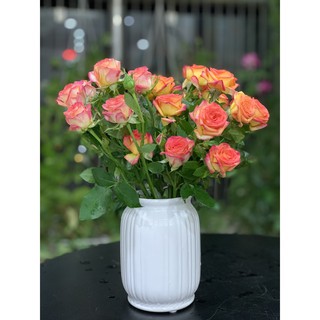 Lọ hoa sứ streamline trắng