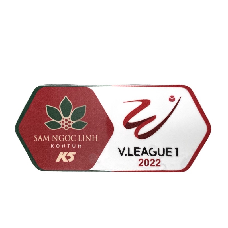 Logo Vleague 2021 tự in tại nhà