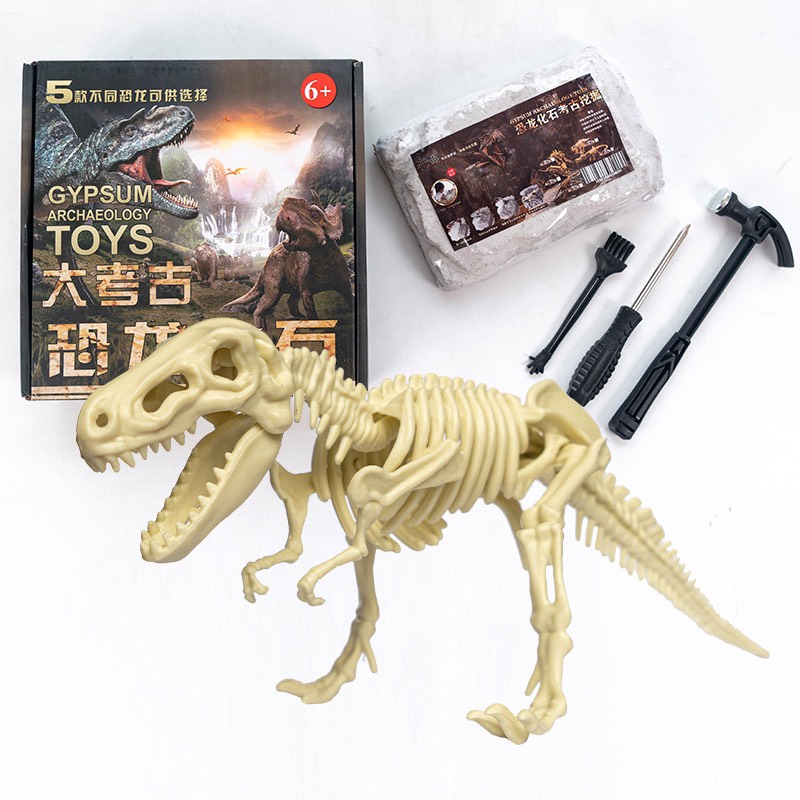 Đồ Chơi Đào Hóa Thạch Khủng Long Khảo Cổ Học Đi Tìm Xương Kho Báu Treasue X Cục Vàng Làm Vòng Tay Cho Bé Giá Rẻ Nhất