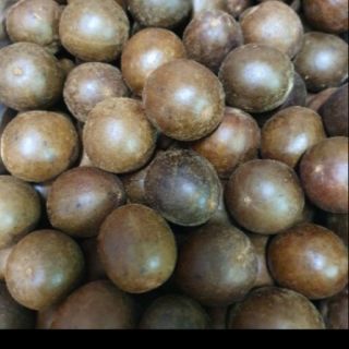 SÉT 10 TRÁI- LA HÁN QUẢ KHÔ