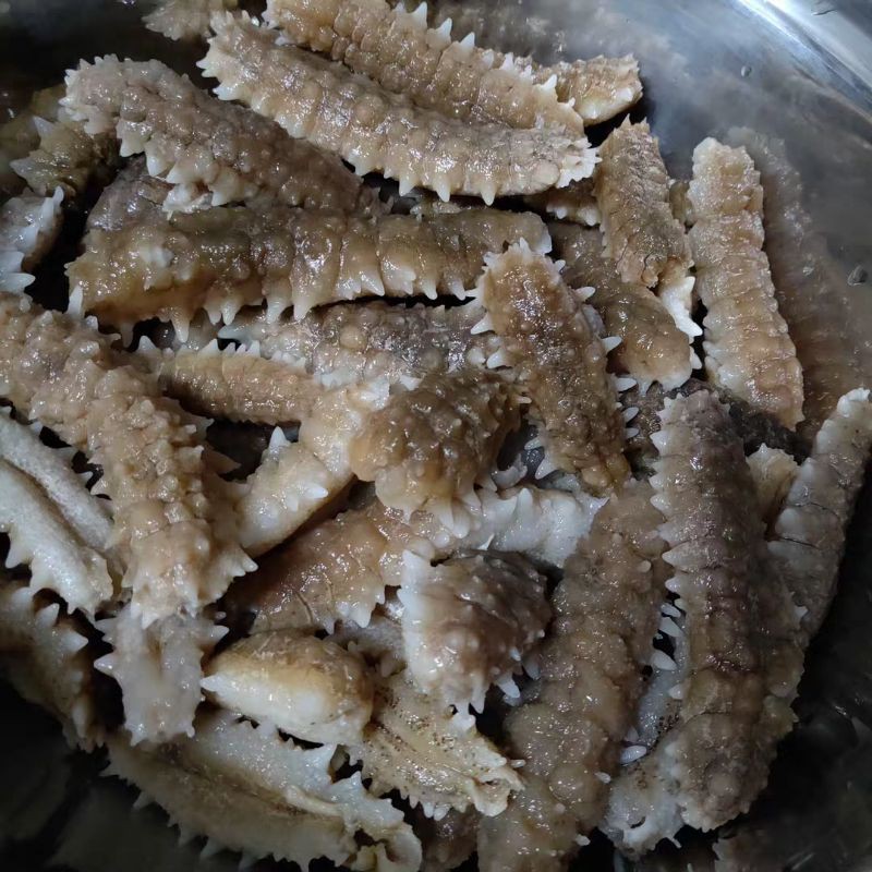 Hải Sâm Khô ( 50g ) | BigBuy360 - bigbuy360.vn