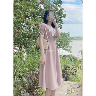 váy cổ nơ dáng xòe Y161