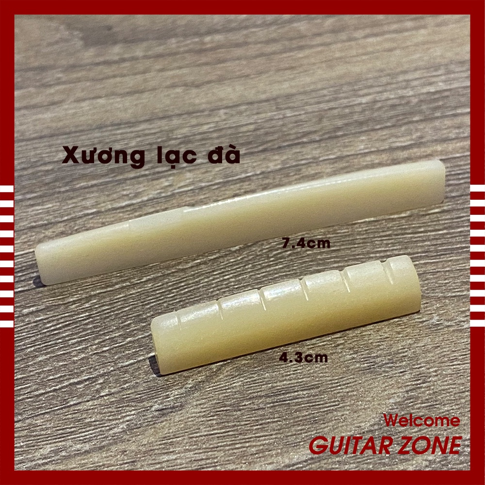 Bộ lược ngựa đàn guitar Acoustic bằng Xương Lạc Đà Chất Lượng Cao