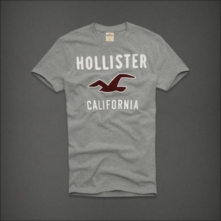 Áo thun Hollister Gray new