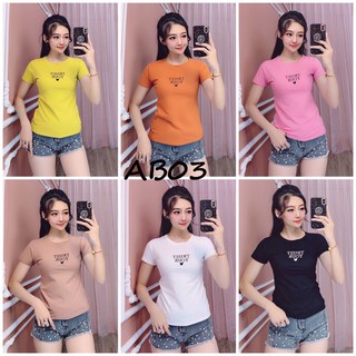 Áo thun thái nữ form ôm AB03