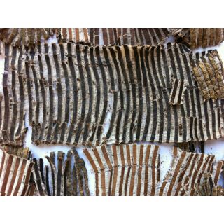 500g đỗ trọng