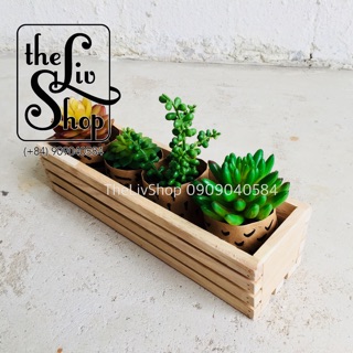 Chậu gỗ trồng cây (30cm)