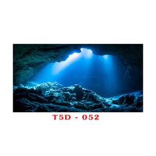 Tranh 3D bể cá mã T5D-052 kt (60,80,90,100,1m2,1m5,1m6)