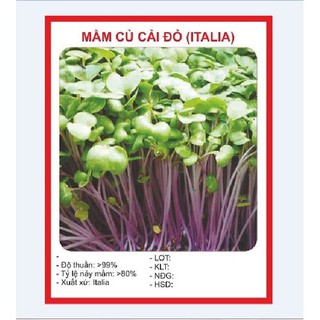 Hạt giống Mầm củ cải đỏ đỏ 30gram