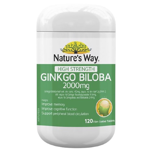 Nature's Way Viên Uống Bổ Não Ginkgo Biloba 2000mg 120 Viên | BigBuy360 - bigbuy360.vn