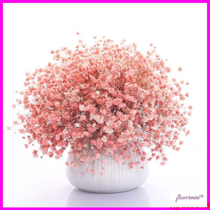 Hoa khô, bình hoa baby cắm sẵn nhiều mẫu trang trí nhà cửa, quán cà phê, nhà hàng cực xinh Flowermini BB-01
