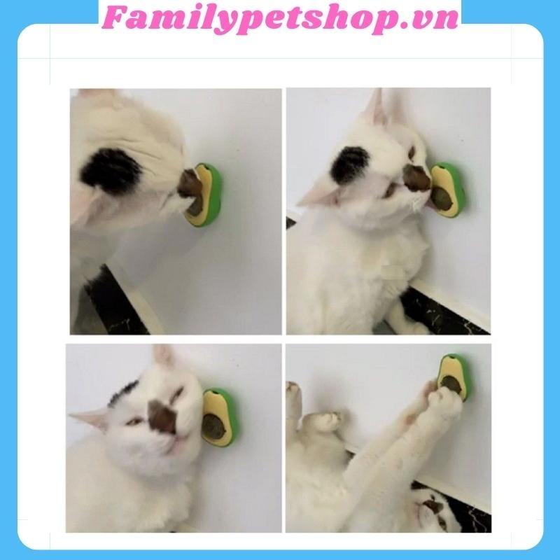 CATNIP Cỏ mèo gắn tường viên cỏ giúp mèo tiêu búi lông giảm stress-familypetshop.vn