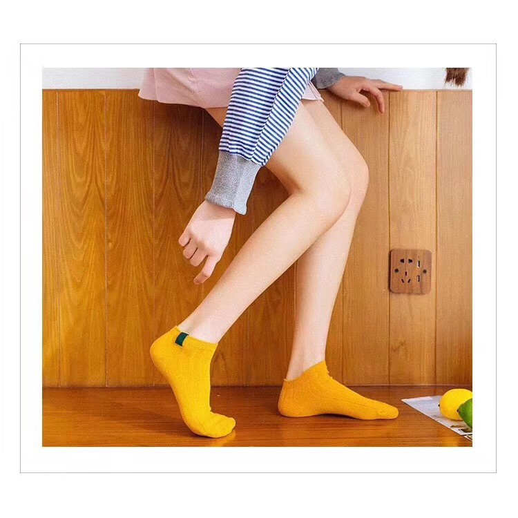 (Ảnh thật cuối)Tất gấu nữ phong cách Hàn Quốc - hàng loại 1