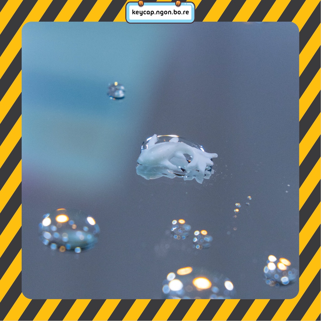 Mô hình Cá Koi Làm Keycap