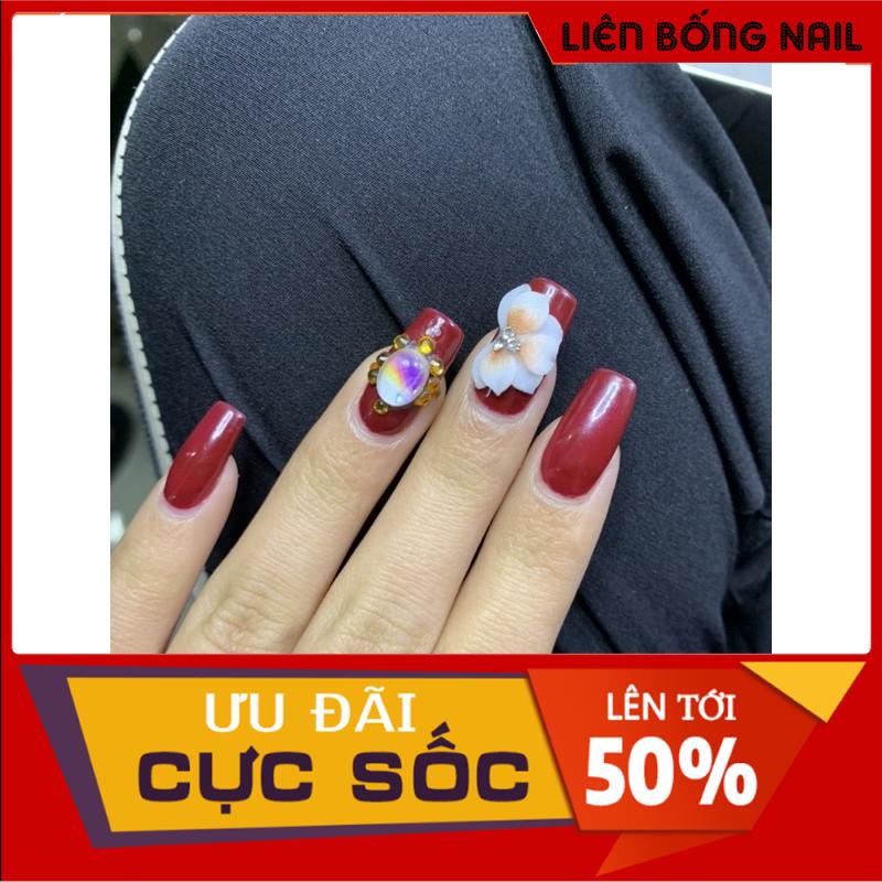 Hoa cúc nhọn - Hoa bột nail