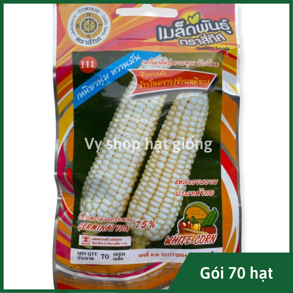 Hạt giống ngô nếp (bắp nếp) Thái Lan gói 70 hạt