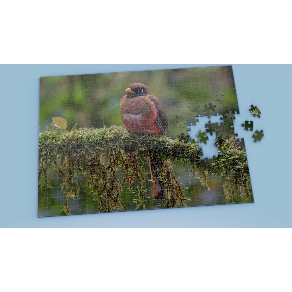 Tranh ghép hình BIRD - Mẫu 4 - Nhận in theo yêu cầu