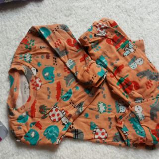 Bộ đồ cotton Carter dài tay cho bé