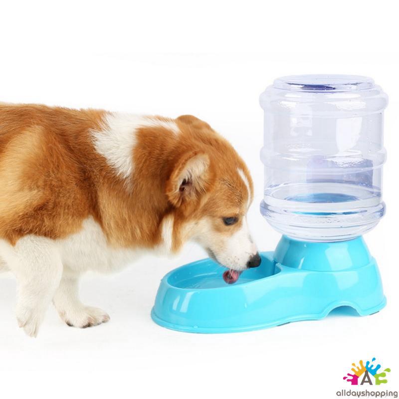 Bát Đựng Thức Ăn Tự Động Cho Thú Cưng