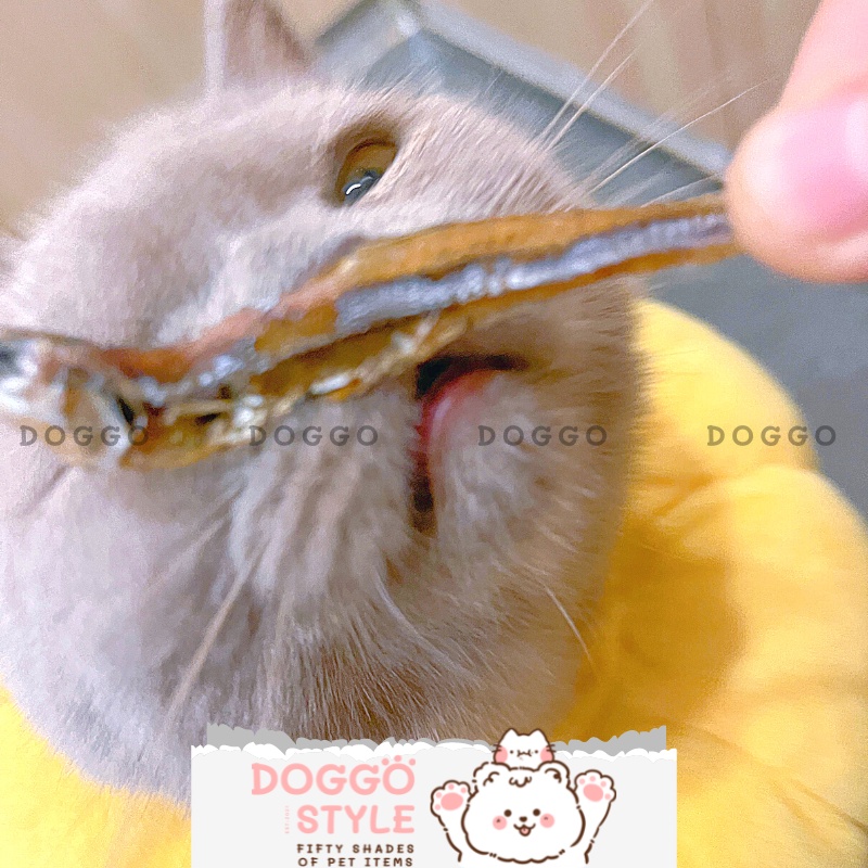 Treat Bánh Thưởng Cho Chó Mèo Cá Cơm Tươi Sấy Khô DOGGOSTYLE Homemade Cung Cấp Protein Omega 3 Giúp Mượt Lông