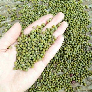 500gr Đậu xanh hạt/bóc vỏ