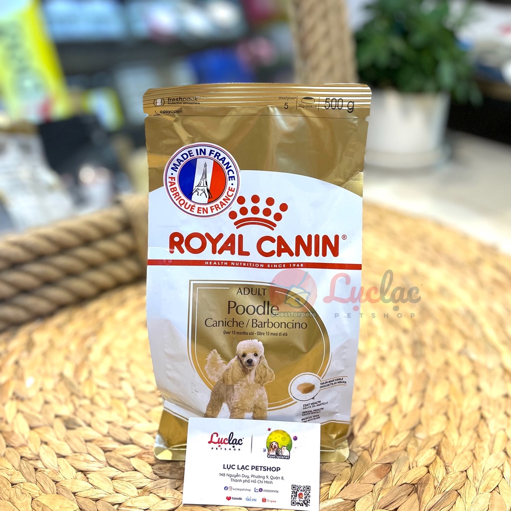 Hạt Royal Canin Poodle Adult cho chó Poodle trưởng thành - Túi 500gr chính hãng