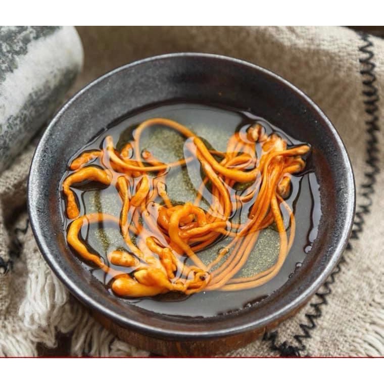 Bông đông trùng thảo nấu canh pha trà trụng lẩu thơm ngon giòn ngọt bổ dưỡng cho cơ thể