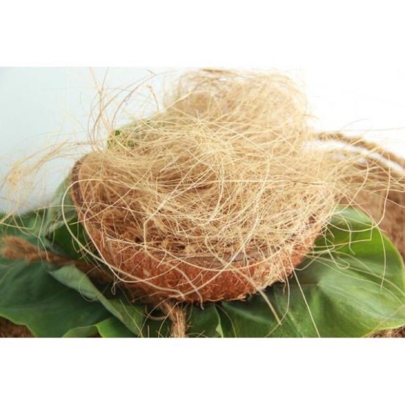 1kg Chỉ dừa - xơ dừa sợi, hàng có sẵn tại kho