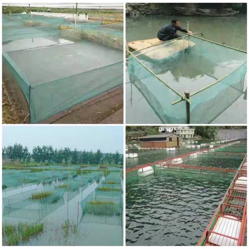 VÈO-TRÁNG nuôi ốc, cá, tôm_Bảo Hàng 12 Tháng_Hàng 3 Ly