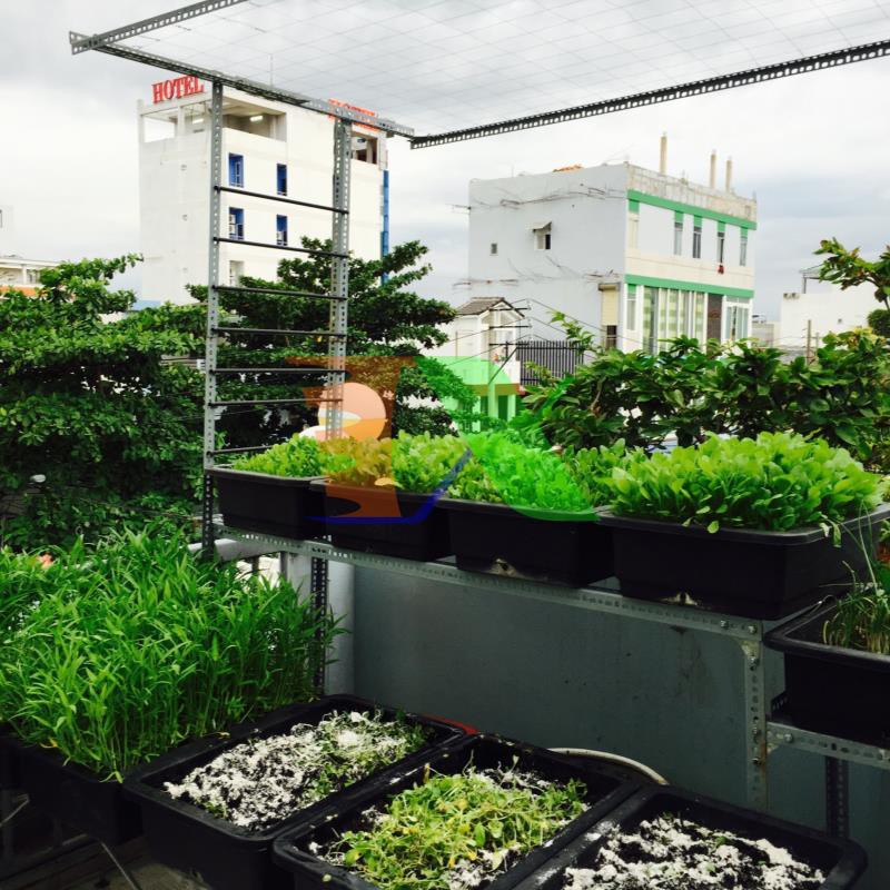 Đất Tribat dinh dưỡng 20dm3, Đất trồng cây có kèm phân bón, Trồng rau mầm, Rau, Hoa