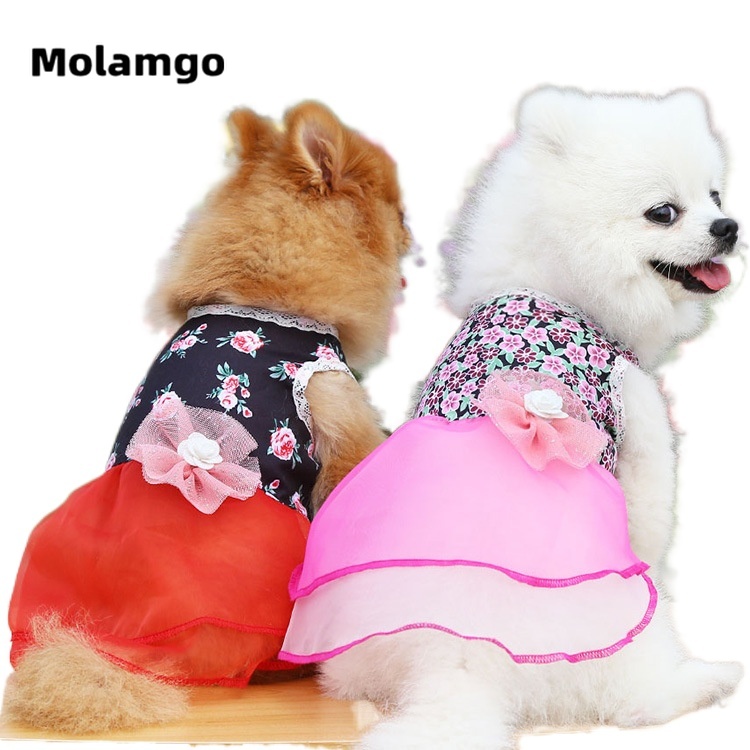 Đầm Hoa Thiết Kế Mới Thời Trang Theo Phong Cách Hàn Quốc Cho Mèo Cưng