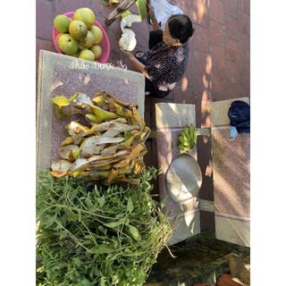 Dầu Gội Bưởi Non