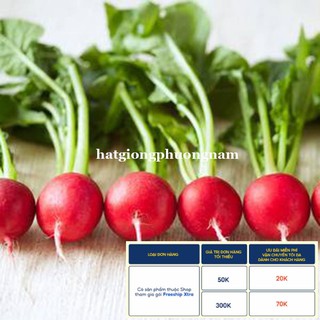 10GR - HẠT GIỐNG CỦ CẢI ĐỎ