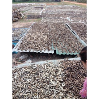 chuối hột ép đau lưng, nhức mỏi