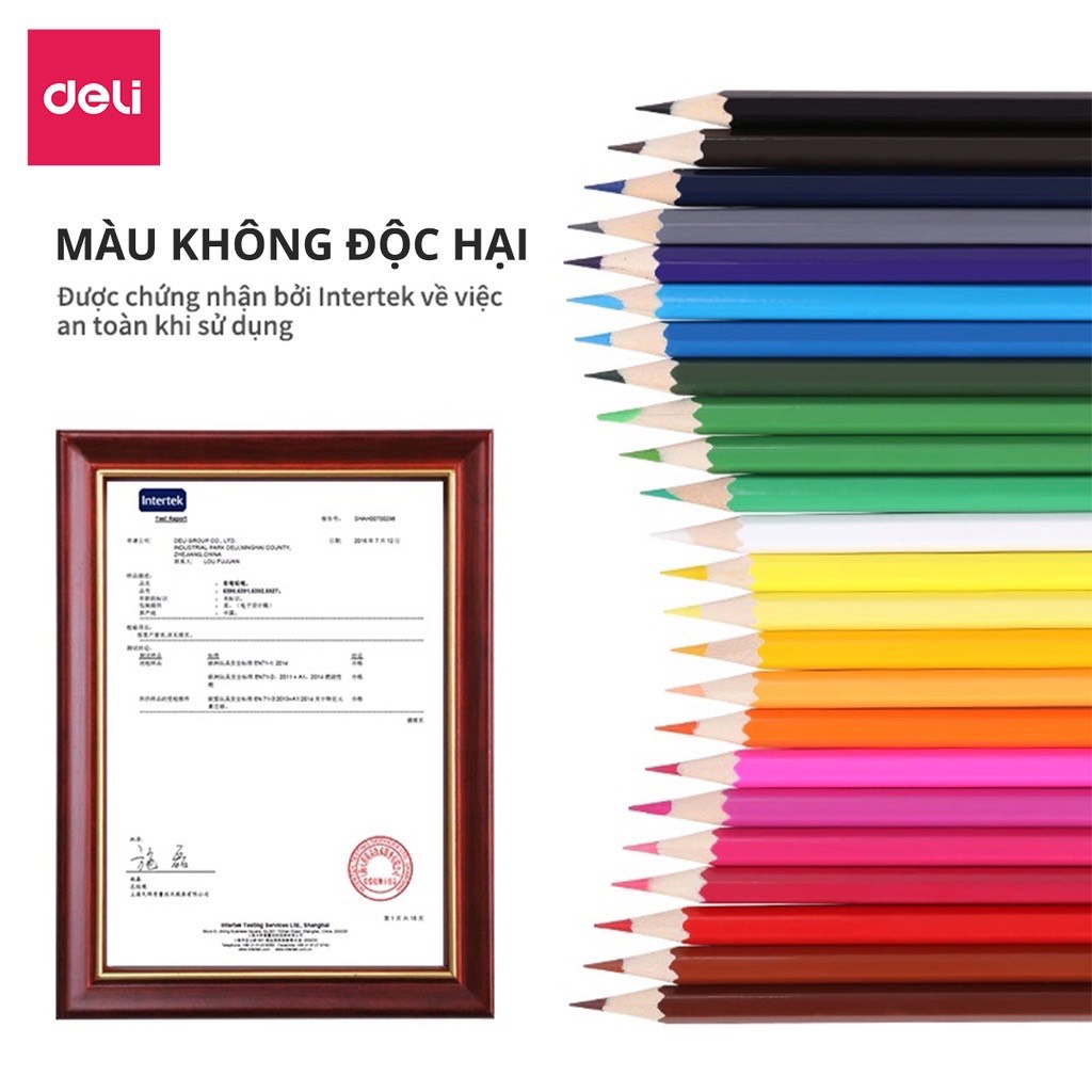 Bút chì màu dạng cốc học sinh Deli - 18/24/ 36 màu - 7013/7014/7015