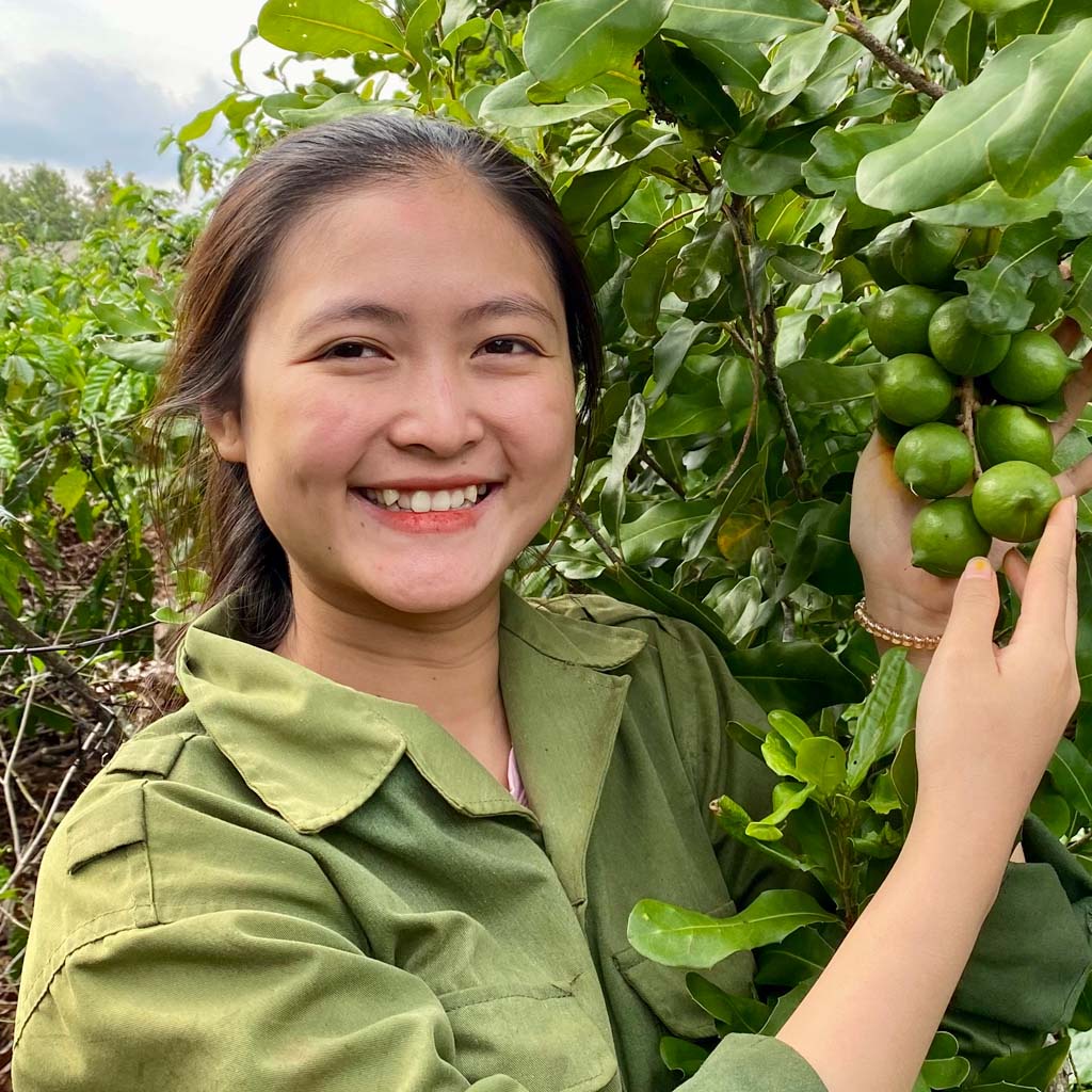 Hạt Macca nứt vỏ Organic Daklak giòn tan không hôi dầu kèm tách vỏ túi zip 1kg từ mắc ca Trang Ở Daklak