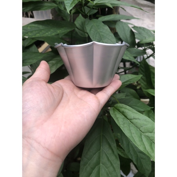 Khuôn hoa mai nhôm đúc